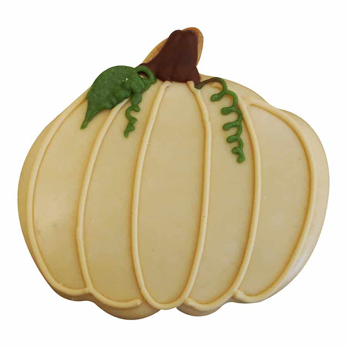 R & M Polyresin Coated Cookie Cutter - Orange Pumpkin