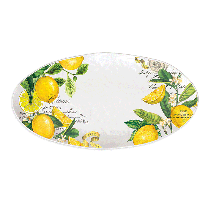 Michele Design Works Melamine Lemon Basil Oval Platter